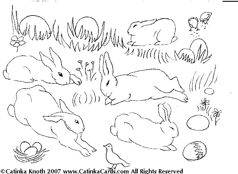 Zwierzęta wiosną kolorowanki